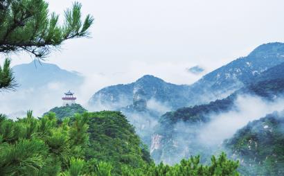 朝阳前进:“一站式”服务让群众更满意